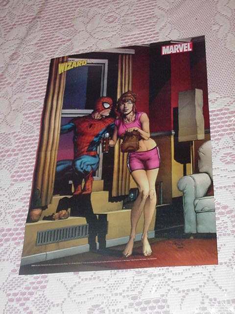 Spider-Man + Mary Jane Poster Gary Frank Supreme