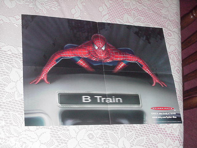 Spider-Man Movie Poster Train
