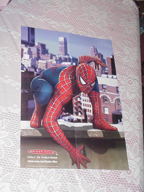 Spider-Man Movie Poster Crouching