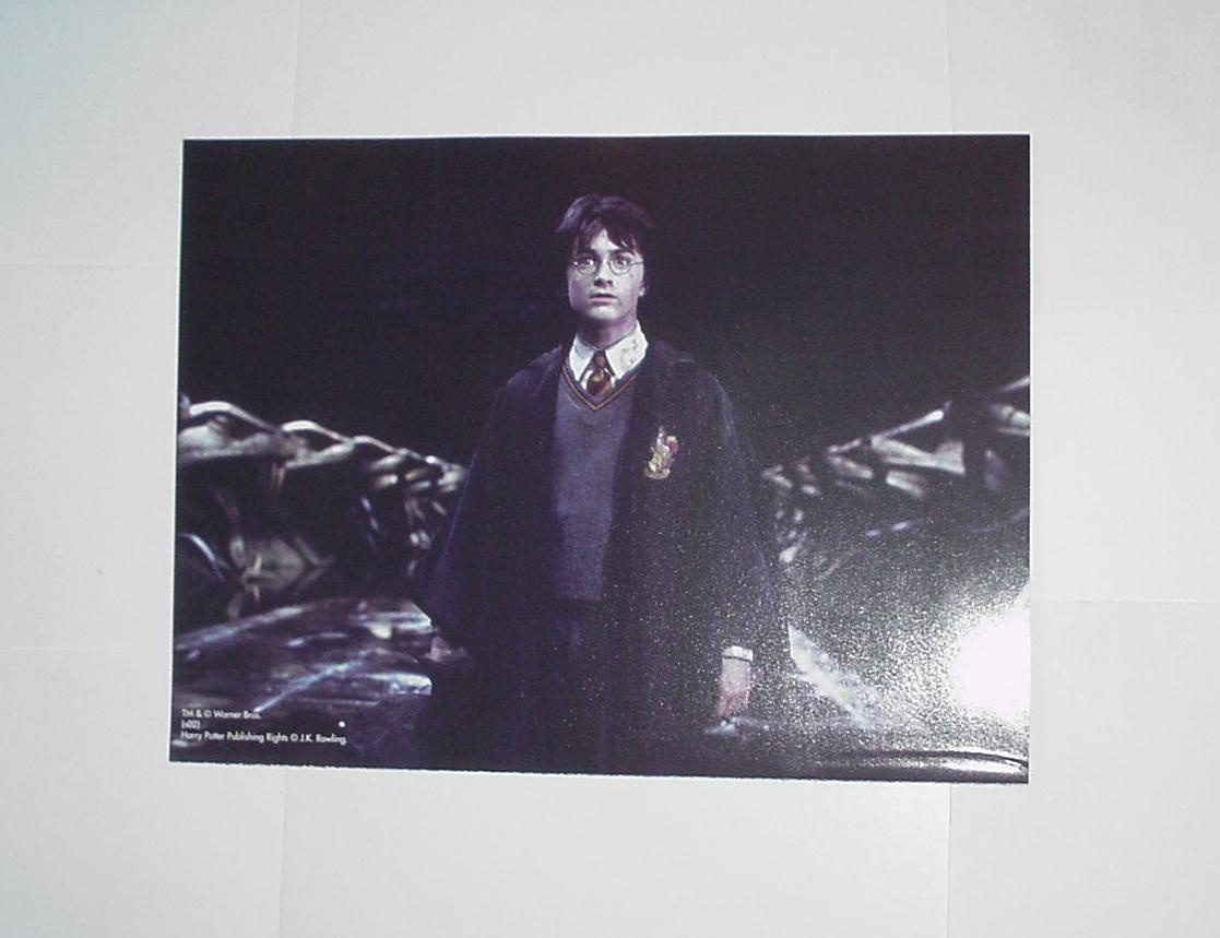 Harry Potter - Hermione In Class Poster 1