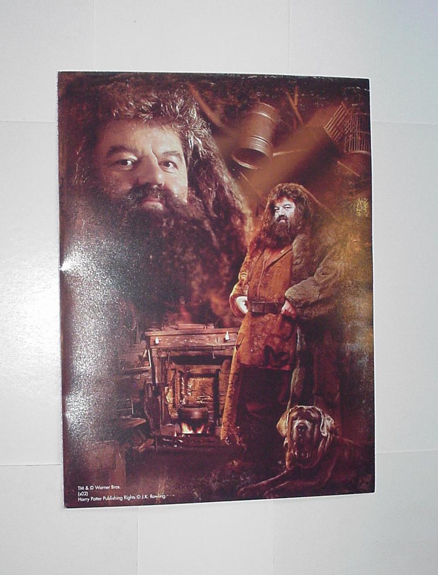 Harry Potter Hagrid Poster Order Of Phoenix 1