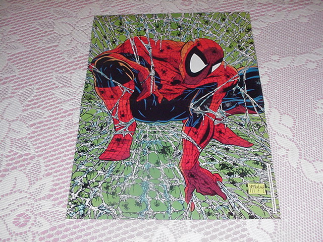 Spider-Man #1 Web Poster Todd McFarlane