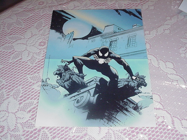 Spider-Man Black Costume Poster Charles Vess Alien