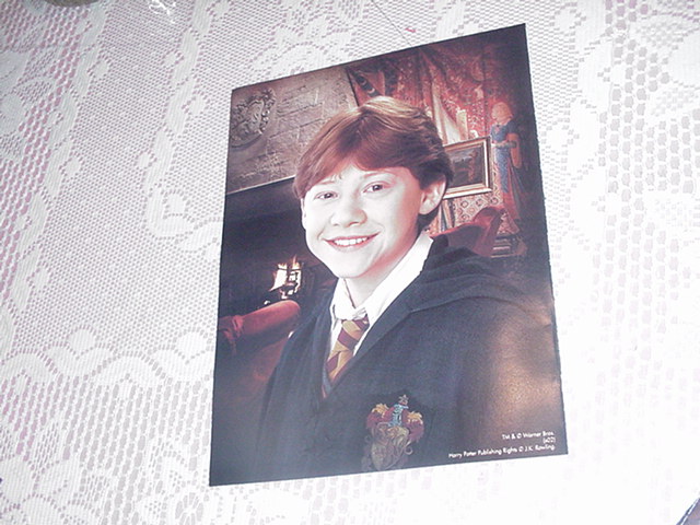Harry Potter Poster NEW RON WEASLEY 1