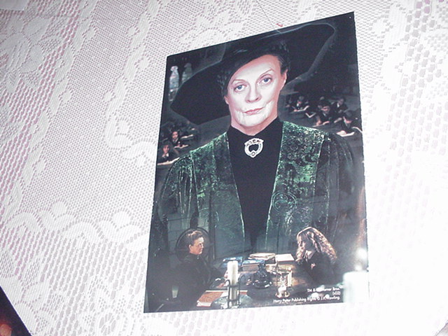 Harry Potter Poster PROFESSOR MCGONAGALL 3