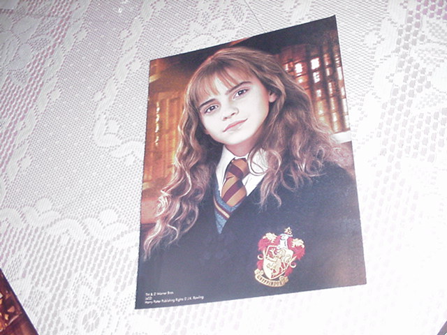 Harry Potter Poster Hermione Class Picture 2