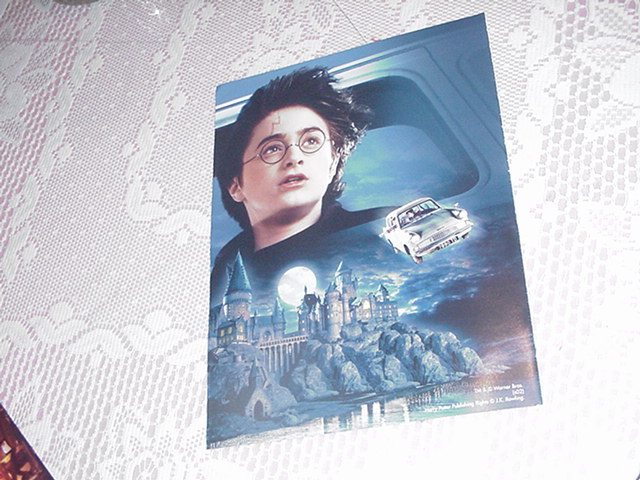 Harry Potter Poster Over Hogwarts NEW w Scar