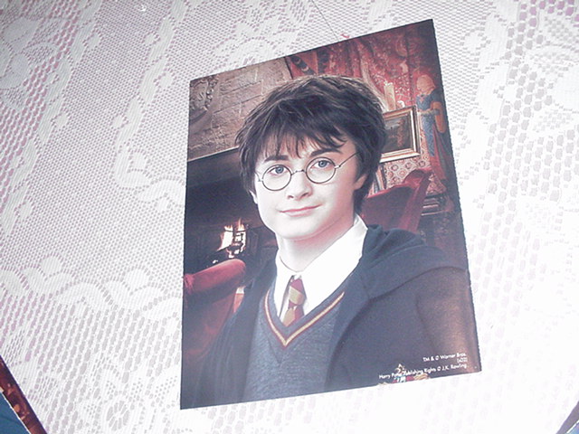 Harry Potter Poster Hogwarts Class Picture 3