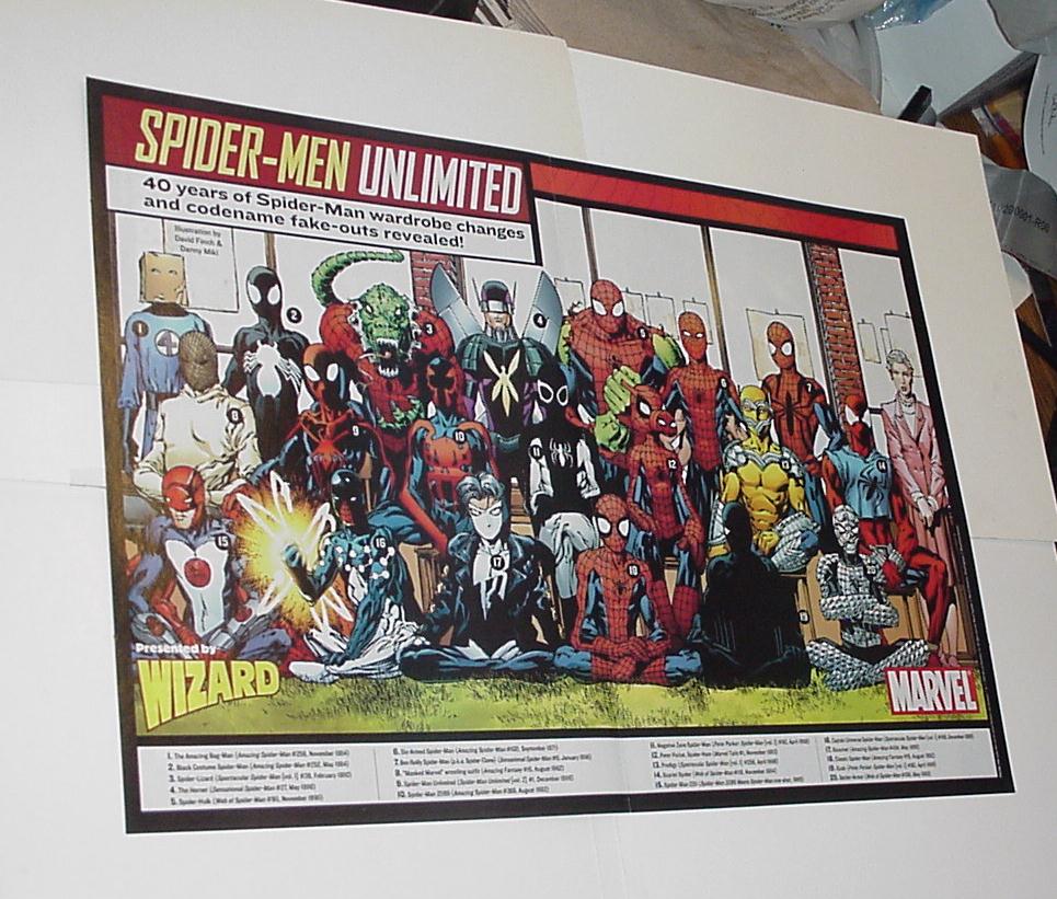 Into the SpiderVerse Poster David Finch Spider-Man