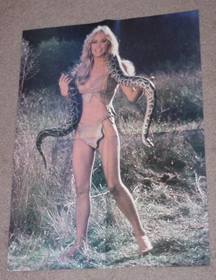 Sheena Movie Poster Tanya Roberts Queen of Jungle