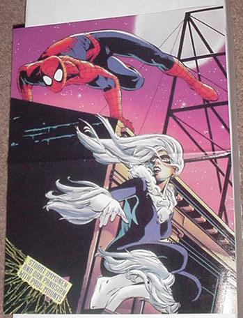 Spider-Man Black Cat 2 Poster Stuart Immonen