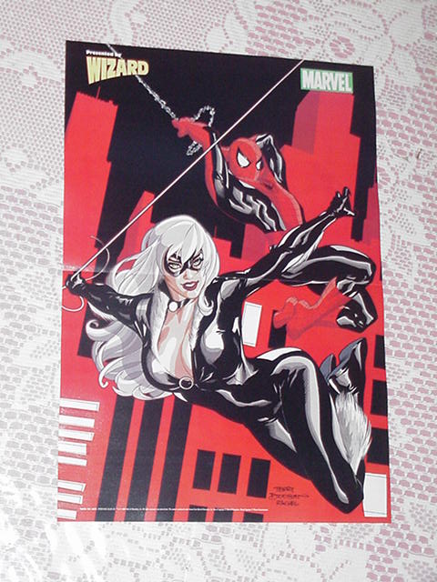 Spider Man + Black Cat Poster by Terry Dodson