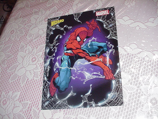 Spider-Man Poster J Scott Campbell Amazing