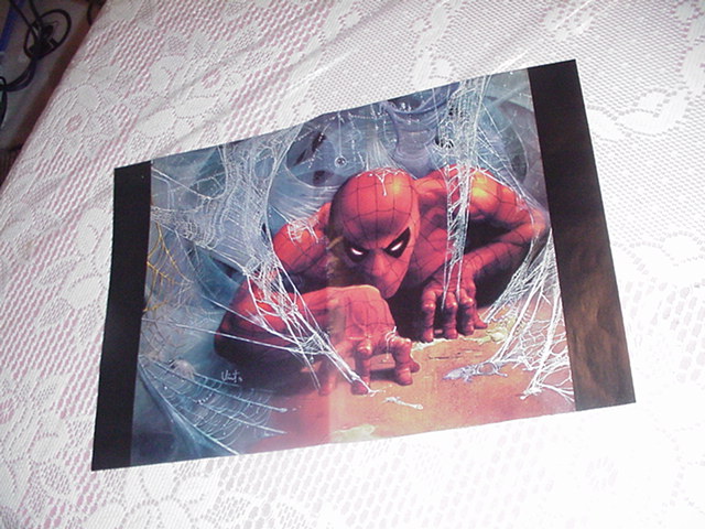 Spider-Man Poster by Vince Evans Crawling