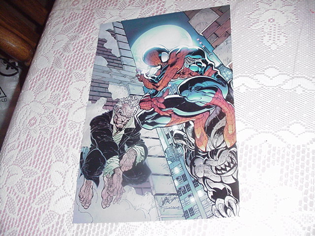 Spider-Man Poster J Scott Campbell Danger Girl