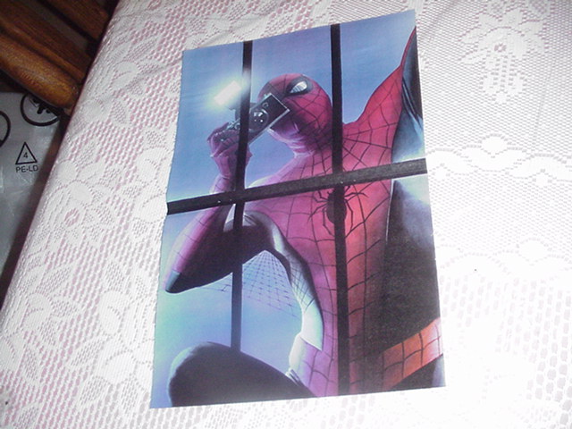 Spider-Man Photo Poster by Alex Ross