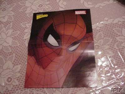 Spider-Man Poster Alex Ross Closeup MOVIE