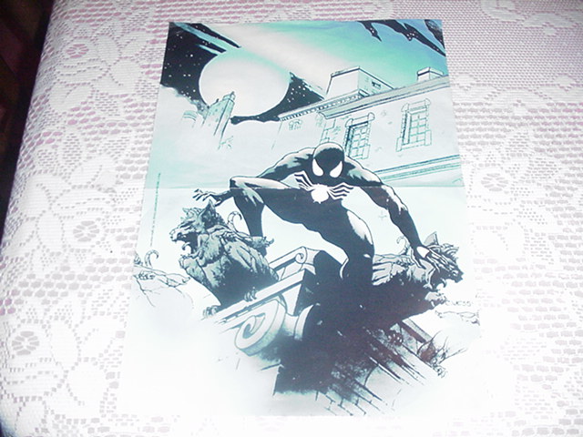 Spider-Man Black Costume Poster Charles Vess
