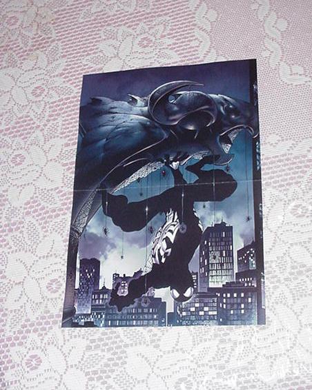 Spider-Man Black Costume Poster # 7 Angel Medina