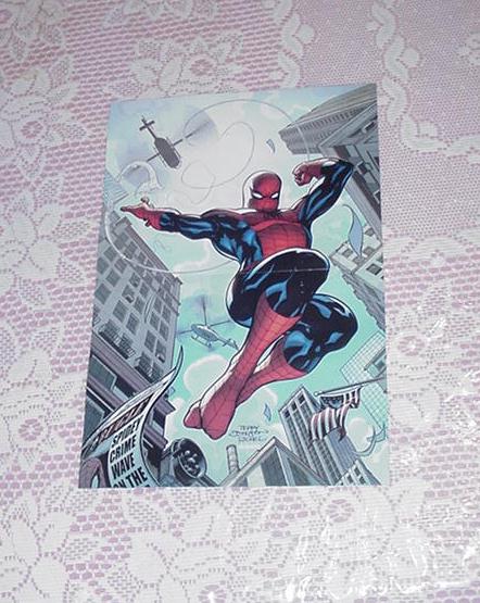 Spider-Man Icon Poster Terry Dodson